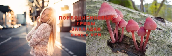 твердый Мегион