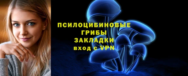 ПСИЛОЦИБИНОВЫЕ ГРИБЫ Медногорск