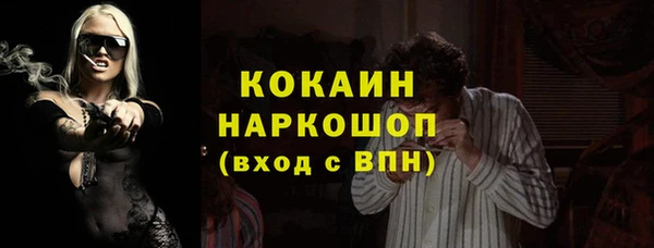 ПСИЛОЦИБИНОВЫЕ ГРИБЫ Медногорск
