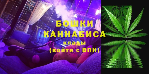 твердый Мегион