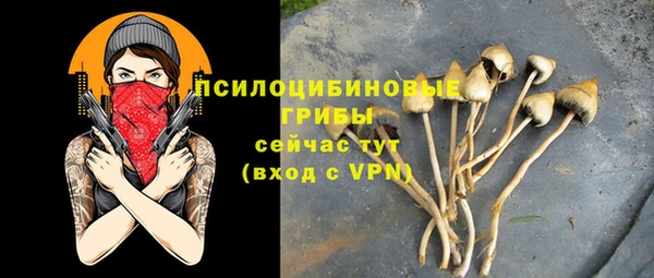 твердый Мегион