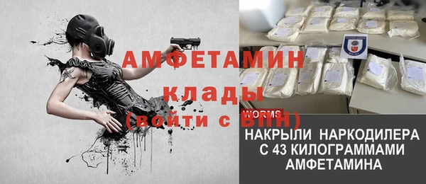 альфа пвп Медвежьегорск