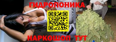марки lsd Заводоуковск