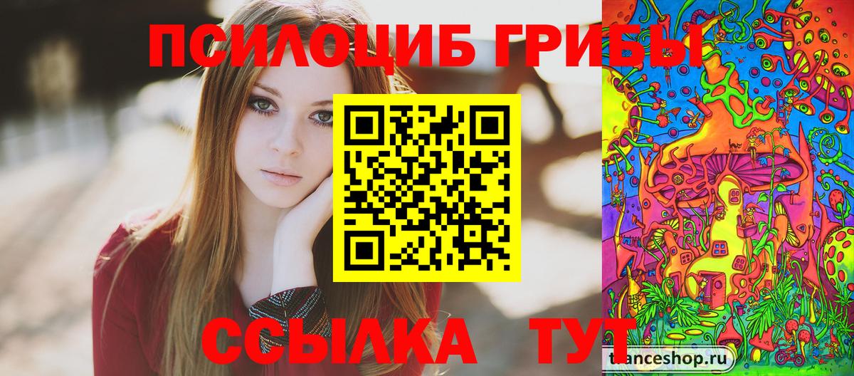 Галлюциногенные грибы Psilocybine cubensis  Вход с VPN  Псилоцибиновые грибы ЛСД  Кропоткин 
